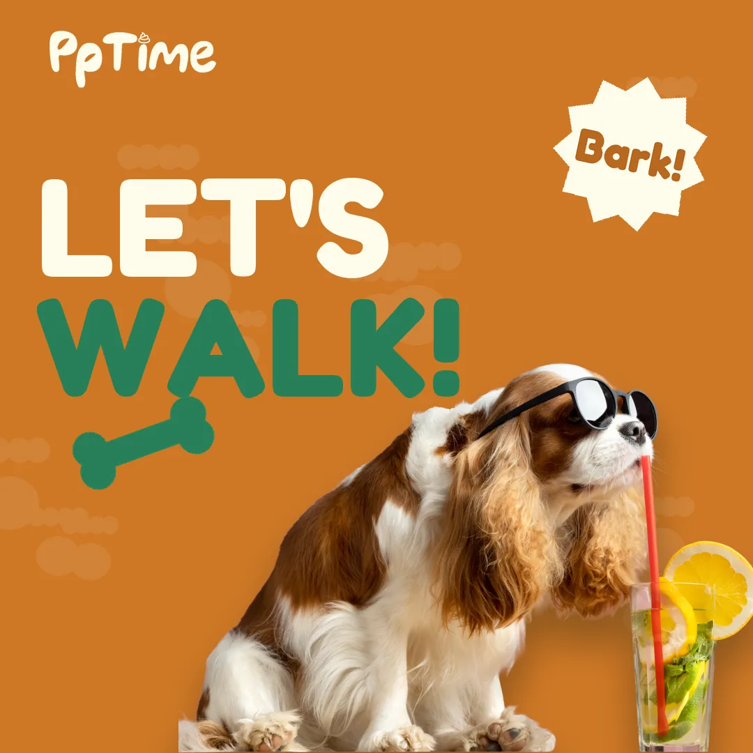 PpTime playful post, book a walk in 2 taps
